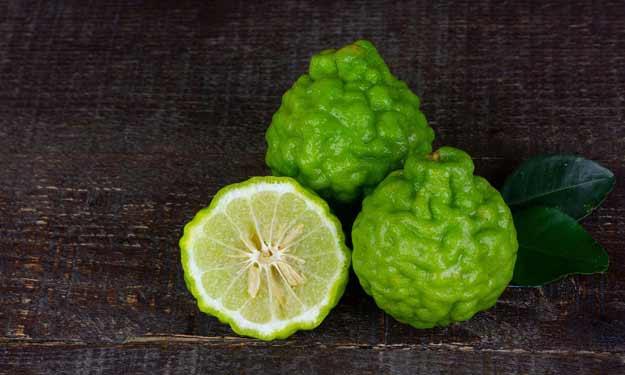 Bergamot Essential Oil