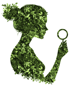 The Inquisitive Enthusiast Website Logo