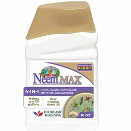 Bonide Captain Jack's Neem Oil Max
