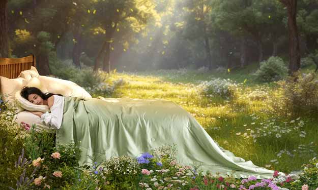 Promeed Herbal Inspired Series for Quality Sleep.