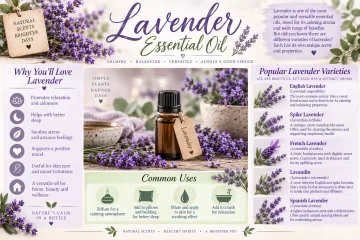 Lavender Essential Oil Varieties Reference Card