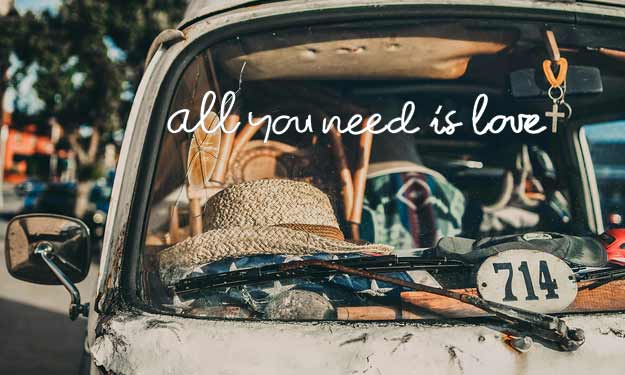 Hippie Van - Patchouli Essential Oil - All You Need is Love!